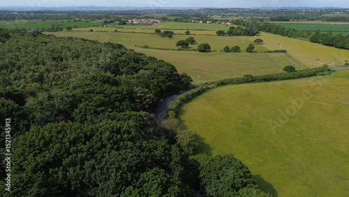 Aerial View of Storton Woods, Birkenhead – Scenic Tree Patterns, Natural Light, and Tranquil Atmosphere – Ideal for Nature, Drone, Travel, and Environmental Projects
