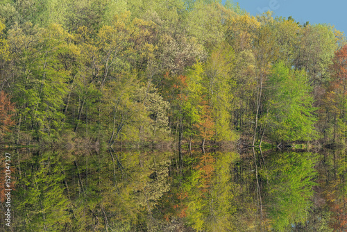 Spring landscape at sunrise of Long Lake with mirrored reflections in calm water, Yankee Springs State Park, Michigan, USA