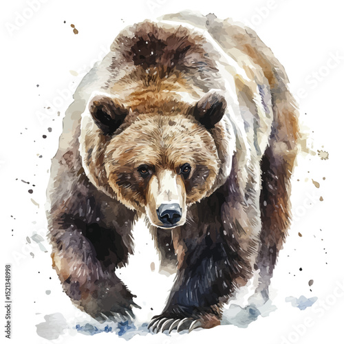 watercolor vector of Grizzly Bear, high quality, isolated on a white background.