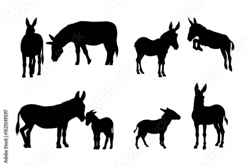Collection of donkey silhouettes on a white background