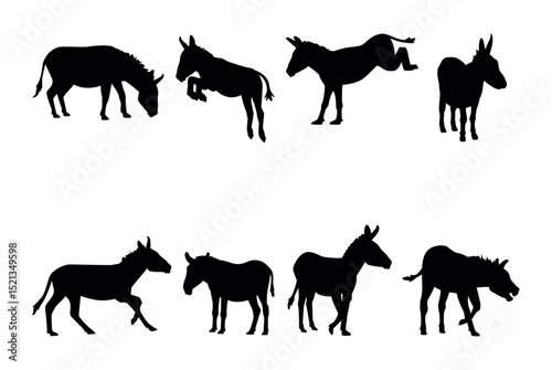 Collection of donkey silhouettes on a white background