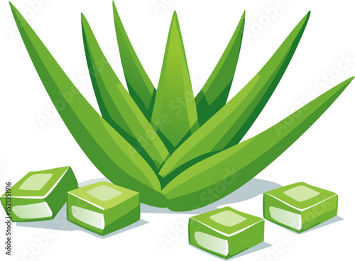 Clean flat artwork of aloe vera with cut cubes of gel, crisp leaf shapes and balanced composition on a plain white backdrop, ideal for digital skincare concepts.