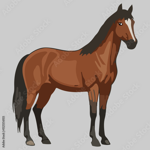 Brown Horse Illustration