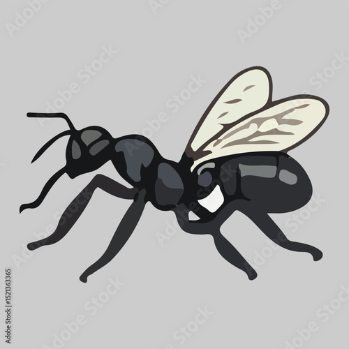 Flying Ant Illustration