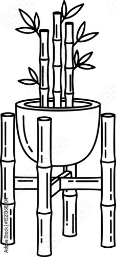  Lucky Bamboo Plant in Pot with Stand