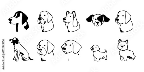 Dog Breeds line icon set. Vector pictograms of labrador, golden retriever, german shepherd, bulldog, beagle, poodle, dachshund, pug, shih tzu, maltese, yorkshire terrier thin linear illustration