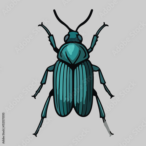 Teal Beetle Illustration
