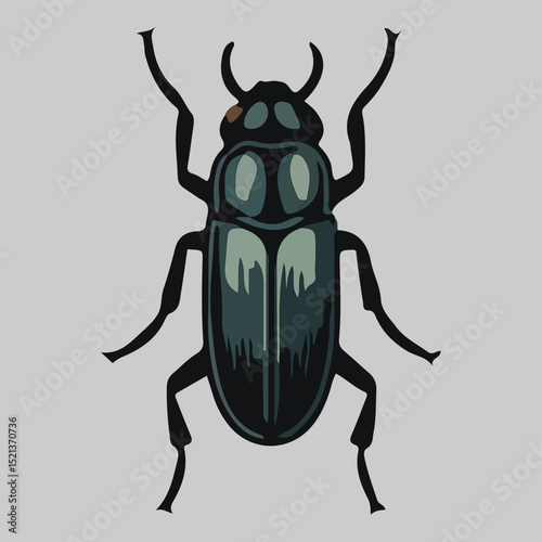 Dark Green Beetle Illustration