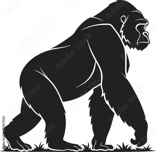 A black silhouette of a gorilla walking on grass with white outlines on a white background image