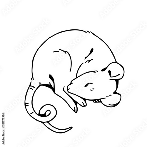 sweet dreams : little mouse drawing