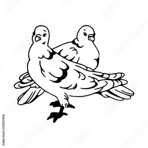 doves couple outline design
