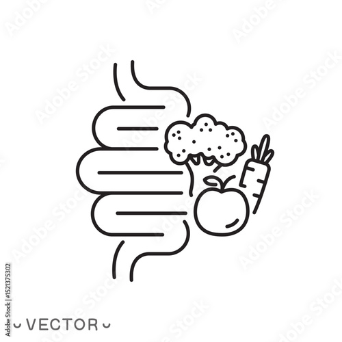 dietary food icon, good digestion, intestines with vegetable and fruit concept, thin line symbol isolated on white background, editable stroke eps 10 vector illustration