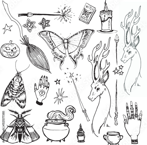 Halloween clipart Vector Set magic wand item Witch cauldron broom hand drawn sketch deer drawing mystic symbol creature design element moth Line art outline butterfly doodle illustration contour stars