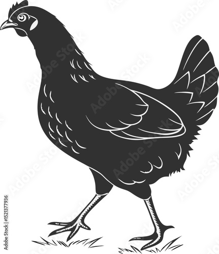A simple monochrome illustration of a chicken standing on grass in a vector format design