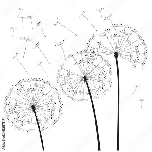 Black vector dandelions. EPS Illustration