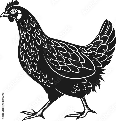 A black and white illustration of a chicken walking with detailed feathers and a comb on its head