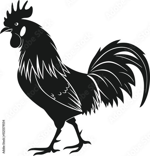 A black and white illustration of a rooster standing with its tail feathers displayed nicely