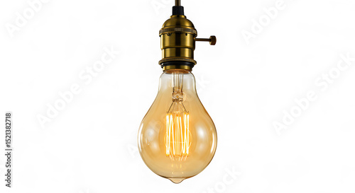 Vintage Edison Bulb with Brass Fixture and Filament Detail
