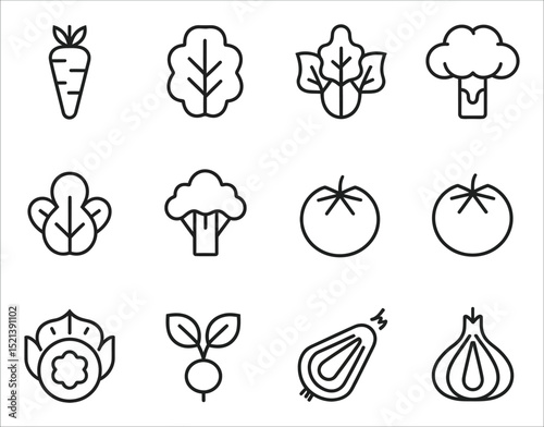 Vegan Food Line Icons Isolated on White