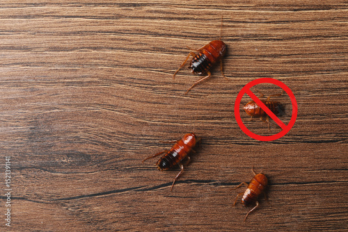 Pest control. Cockroaches and red prohibition sign on wooden surface, top view. Space for text