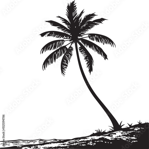 palm tree silhouette on the beach
