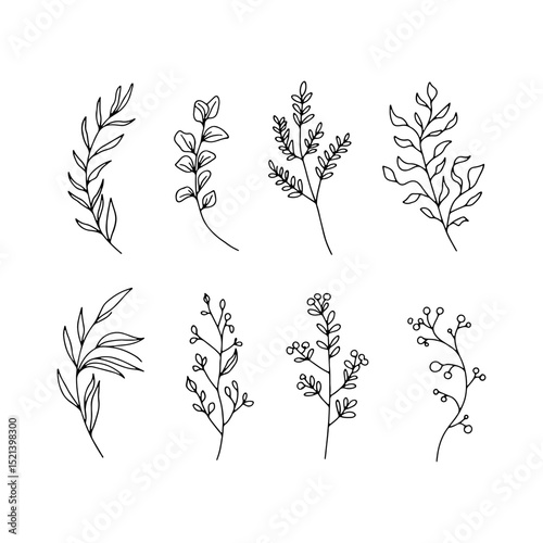 Line Botanical Herbs. A harmonious mix of botanical herbs and plants with graceful outlines, perfect for natural labels or delicate compositions.