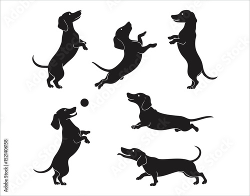 Clean Black Dachshund Silhouettes Collection