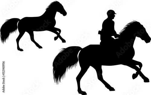 Horse Rider Equestrian Sport Jumping Competition Animal Power Speed Graceful Stallion Mare
