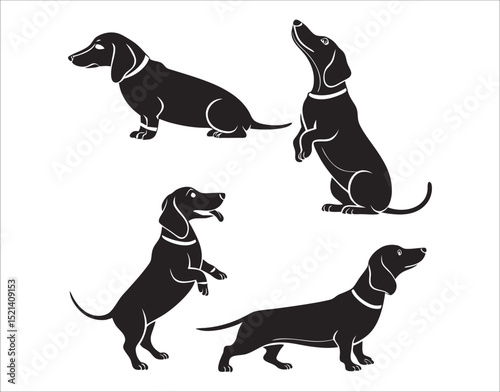 Minimal Vector Dachshund Shapes Isolated on White