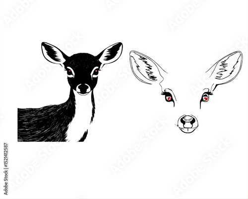 Vector illustration of a hare / head of the deer.