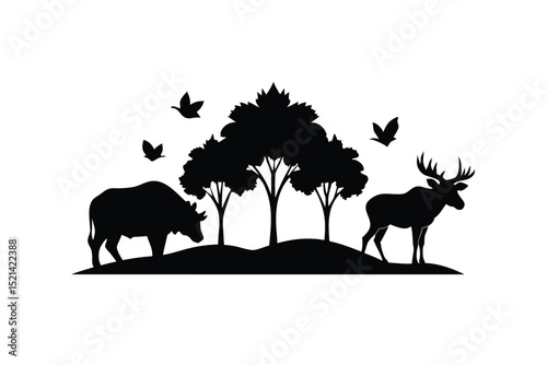 Photography wild animals silhouettes