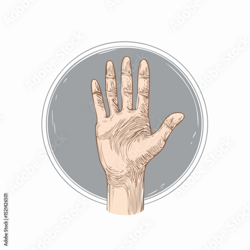 Vector line simple illustrations, hands and gesture in outline style, sticker gesture, print and poster design, like geatures