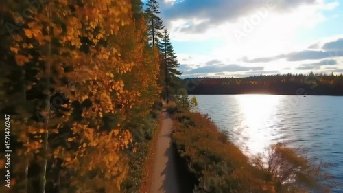 Beautiful natural foggy landscape with the path near the lake, autumn seasonal background