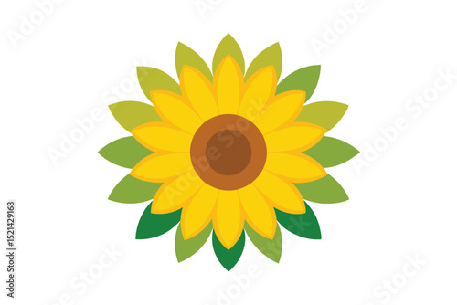 sunflower on white background