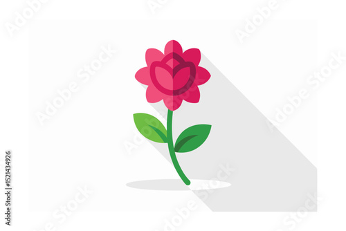 pink flower on white background