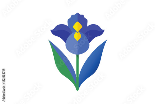 iris flower vector illustration