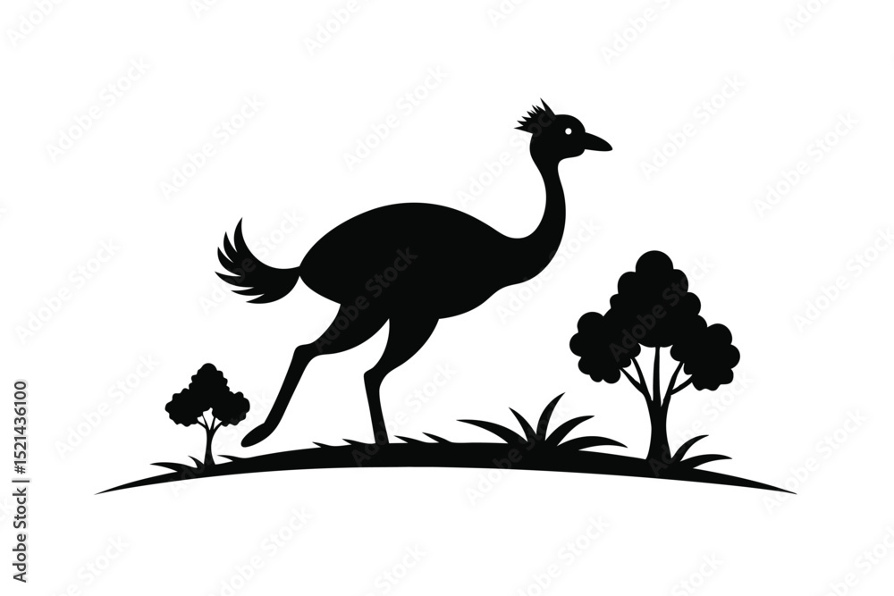 Fototapeta premium vector illustration of an ostrich