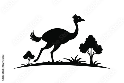 vector illustration of an ostrich