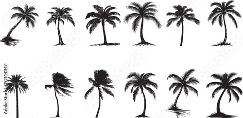 Tropical Palm Tree Arched Over Water A curved trunk extending across a serene lake, with lush fronds draping above. Full-length silhouette black vector design.