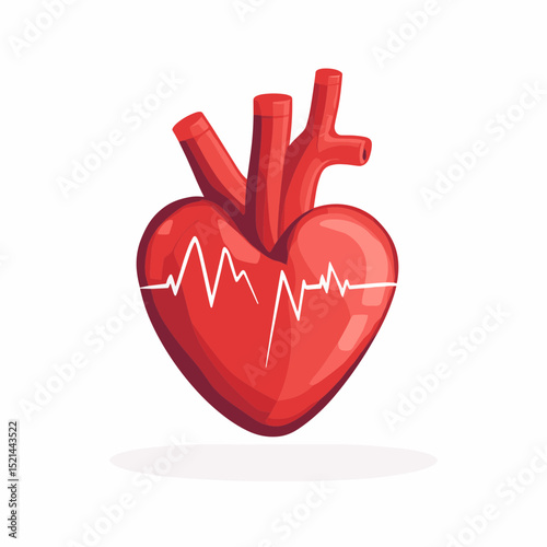 Red Heart with EKG Line Illustration on White Background Representing Human Anatomy Health and Medicine