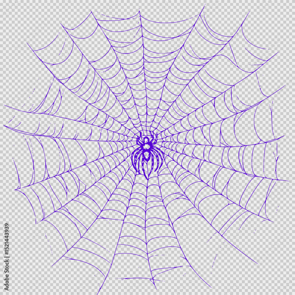 Obraz premium Minimalist spider web illustration in black and white with crisp lines and a wide-angle view, isolated on a clean white background, ideal for design elements, clip art, or creative projects.