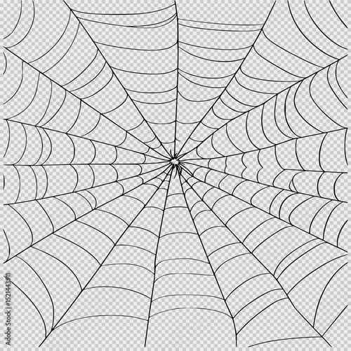 Minimalist spider web illustration in black and white with crisp lines and a wide-angle view, isolated on a clean white background, ideal for design elements, clip art, or creative projects.