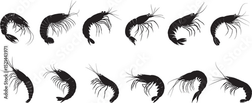 Shrimp in Motion Body advancing with legs extended, moving steadily forward in a walking motion. Full-length silhouette black vector design.