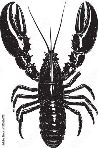 Lobster in the Molting Process Body arched with legs extended as it sheds its exoskeleton. Full-length silhouette black vector design.