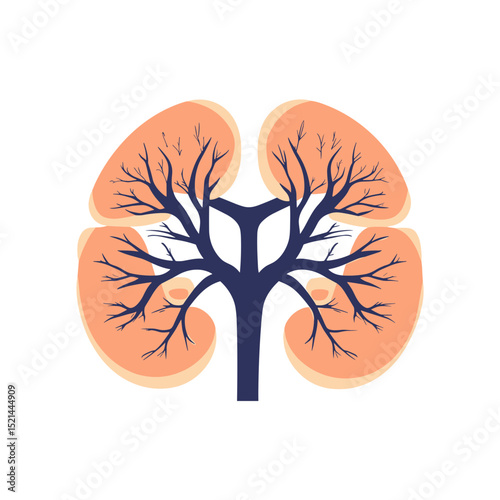 Stylized Human Kidney Illustration with Veins on a White Background for Medical or Educational Use