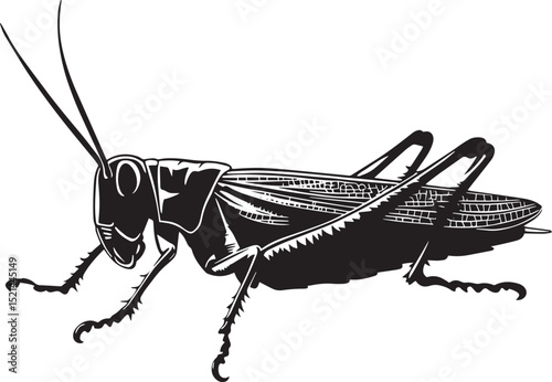Grasshopper in Crawling Motion Body positioned low to the ground with legs extended, moving in a rhythmic pattern. Full-length silhouette black vector design.