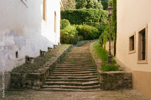 Cuadro en lienzo Serene cobblestone street leads up a lush, green hillside, surrounded by charming buildings