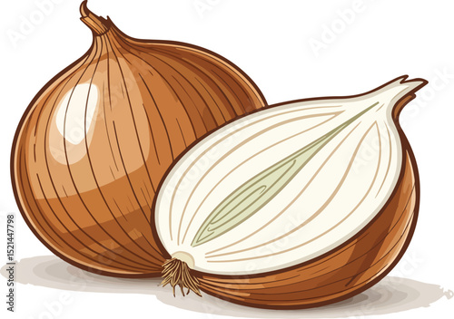 Detailed Onion Illustration on White Background with Vector Design Elements