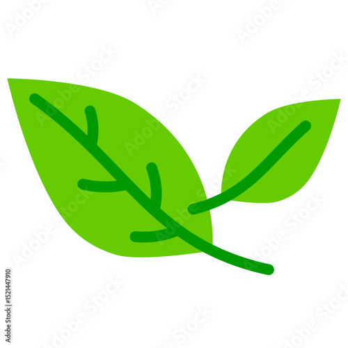 spinach flat icon