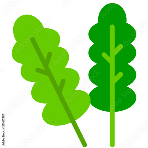 arugula flat icon